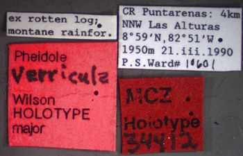 Media type: image;   Entomology 34412 Aspect: labels